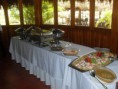 /album/pelaitas-65/a278503-4519206021119-2114546272-o-jpg1/
